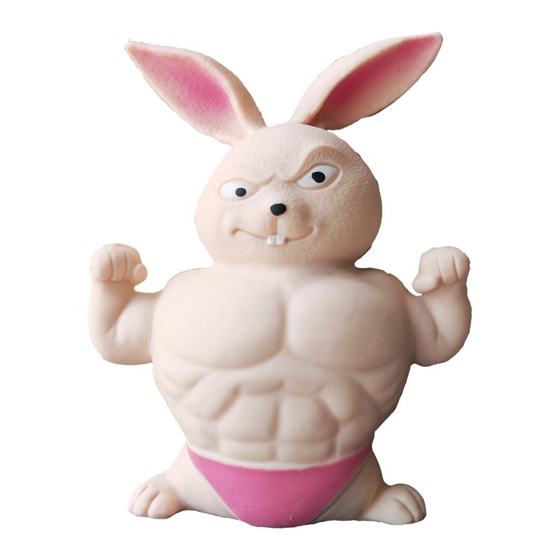 FSFHSJ Funny Squishy Bunny Toys, Squeeze Rabbit Toy, Stretchy and ...