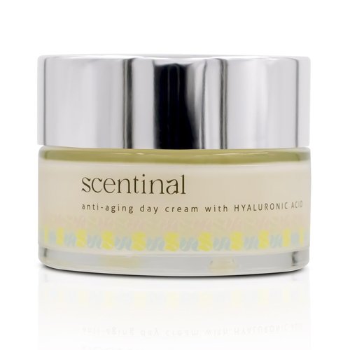 URBAN SOMBRERO Scentinal Anti-Aging Day Cream with Hyaluronic Acid - Glow All-Day Hydration for Radiant, Youthful Skin - 50 ml/1.7 Oz