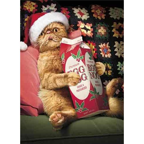 Avanti 10-Count Humorous Christmas Cards with Envelopes, Eggnog Overload