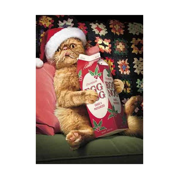 Avanti 10-Count Humorous Christmas Cards with Envelopes, Eggnog Overload