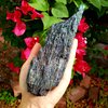 Carborundum Silicon Carbide Rainbow Mineral Specimen - Crystal Healing Reiki Stone Metaphysical Free Formed Chakra - carborundum - Piece #103