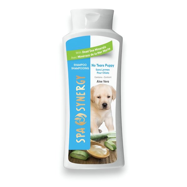 Spa Synergy Pet Dog Shampoo Natural Dead Sea Mineral Rich, Aloe Vera, Moisturizing, Cleansing, Refreshing, pH Balanced, Hydrating - No Tears Puppy - (1) Bottle 16.5 FL OZ