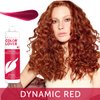 Framesi Color Lover Dynamic Red Shampoo, 16.9 fl oz, Red Hair Shampoo, Shampoo for Color Treated Hair