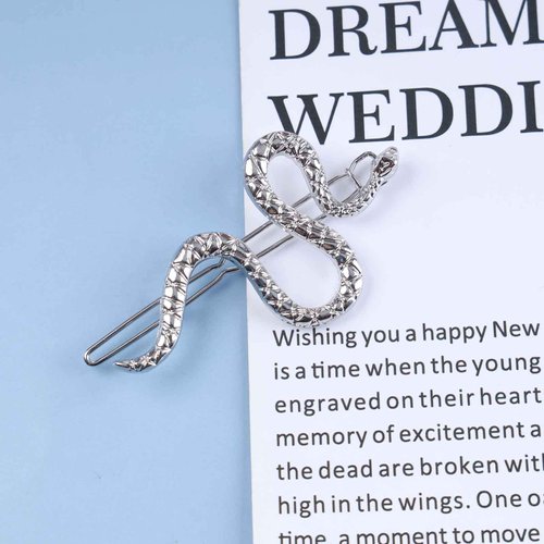 Allereyae Vintage Snake Hair Clip Barrette Serpent Hair Pin Barrette Punk Medusa Side Hair Clip Barrette Bobby Pin Silver Snake Head Clip Headwear Hair Accessories for Women and Girls (Silver)
