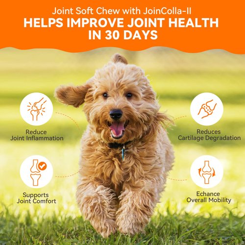 PUAINTA Collagen for Dogs Hip and Joint Supplement, Glucosamine, Chondroitin, MSM Dog Joint Pain Relief Treats, Hip & Joint Care for Large Breeds Enhance Mobility, Bone Health-30 Soft Chews