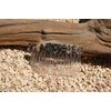 Turritella Stone Hair Comb