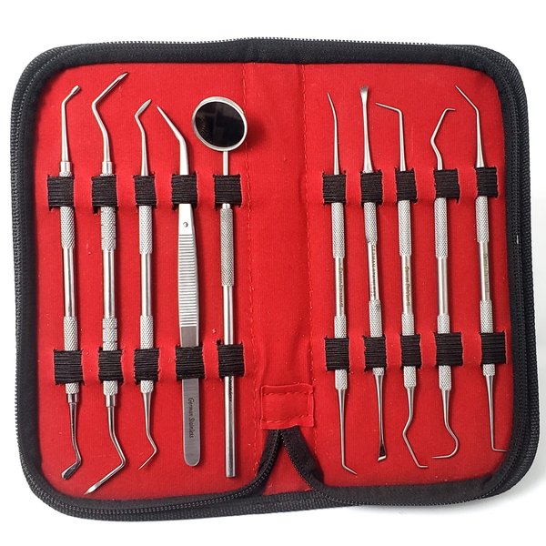 10 Pcs Professional Plaque Remover Kit Oral Care Tools Stainless Steel Double Ended Dental Picks with Scraper, Mouth Mirror, Tweezers & Plugger for Gum Care Cleaning Set with Carrying Case