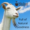 NULUV Goat Milk Body Butter Long-Lasting Moisture Soothing for Dry and Sensitive Skin, Made in USA, 8 Ounces (Angel Baby)