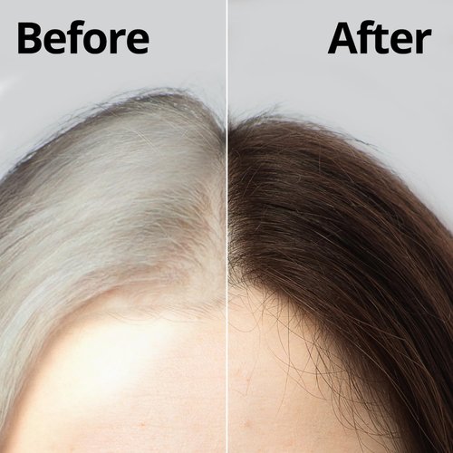 Daeng Gi Meo Ri – Korean Herbal Hair Dye Color Cream [Natural Brown] - PPD-Free Gray Coverage, Hair Protection, High-Keratin Formula, 8.47 Oz