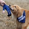 Political Satire Bite a Biden Dog Toy and Dog Bandana - Durable Stuffed Squeaky Dog Chew Toy - Canvas and Cotton Humorous Political Dog Toy