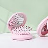 Mini Hair Brush for Purse, Small Portable Pocket Hair Brush with Mirror for Girls, Travel Size, Pink