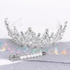 TOBATOBA It's My Birthday Sash Birthday Tiara and Crown for Women Girls Silver Glitter Birthday Sash Crystal Princess Tiara Queen Crown Quinceanera Crown Birthday Decoration Birthday Gift