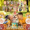 Corgi Birthday Party Decorations Backdrop Banner Photography Background Cute Corgi Theme Banner Balloons Cake Toppers Cupcake Toppers Pet Party Kit For Corgi Dog Birthday Party Supplies Decor