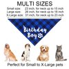 JOTFA Dog Birthday Party Supplies, Multi Sizes Dog Birthday Bandana Boy Dog Birthday Hat Bow Tie Birthday Numbers It’s My Bday Mother Puppers Sign Banner for Small Dogs Pets (Small, Blue)