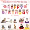 Coskingland Cat Birthday Party Decorations - 12PCS Cat Themed Birthday Party Decorations Supplies Cat Happy Birthday Banners Hanging Swirls Cute Cat Honeycomb Centerpieces Decor for Kids Girls