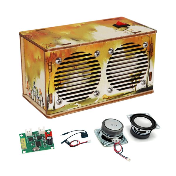 STEM Toys,Science kit,STEM Kits for Kids Ages 8,9,10,11,12,Educational Toys Arts and Crafts,STEM Projects,Teen Gifts for Boys and Girls,Build Your own DIY Speaker Electronic Kits (Cartoon)