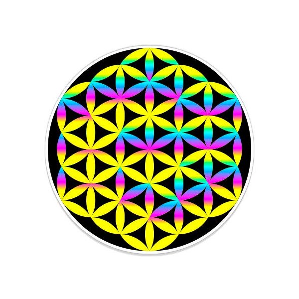 GT Graphics Flower of Life Colorful - 12" Vinyl Sticker Waterproof Decal