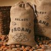 Mascot Nut and Candy Gifts since 1955- (3) 12 oz Bags of Milk Chocolate covered Georgia Pecans