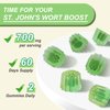 2 Pack St John's Wort Gummies 700mg, Natural Herbal Supplement for Adults & Kids, Support Calm, Relaxation & Brain Health, Vegan, Non-GMO, Gluten Free, Apple Flavor, 120 Count
