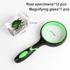 12 Pcs Insect Resin Specimen, Bugs Collection Resin Animal Taxidermy Paperweights Kit Science Education Classroom Specimen with Magnifying Glass for Kids Children's Day Gift