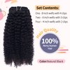 Vanalia 3C 4A Clip Ins, Afro Kinky Curly Clip In Hair Extensions, 3C 4A Clip ins for African American Black Women,9A Brazilian Remy Hair Double Wefted Natural Black,120 Gram 18Inch