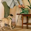 Earth Rated Dog Poop Bags with Handles, Easy Tie and Guaranteed Leakproof, Unscented, 120 Handle Bags