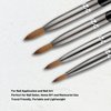 Aokitec Acrylic Nail Brush Size 14, Pure Kolinsky Hair Bristles Sturdy Wooden Handle Oval Crimped Sable Acrylic Brush Wood Nail Art Brush for Acrylic Powder Application Manicure Tool（Black）